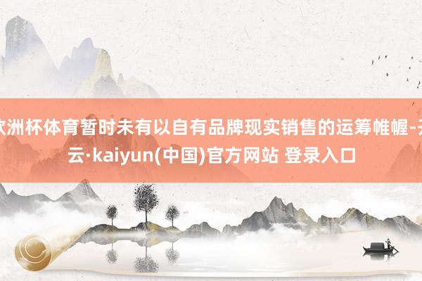 欧洲杯体育暂时未有以自有品牌现实销售的运筹帷幄-开云·kaiyun(中国)官方网站 登录入口