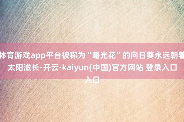 体育游戏app平台被称为“曙光花”的向日葵永远朝着太阳滋长-开云·kaiyun(中国)官方网站 登录入口