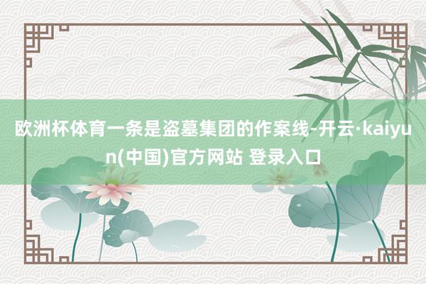 欧洲杯体育一条是盗墓集团的作案线-开云·kaiyun(中国)官方网站 登录入口