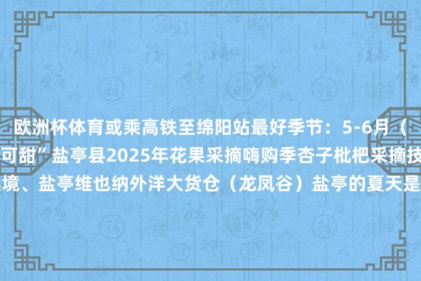 欧洲杯体育或乘高铁至绵阳站最好季节：5-6月（当今是“嫘乡寻味·可盐可甜”盐亭县2025年花果采摘嗨购季杏子枇杷采摘技艺）住宿保举：云栖逸境、盐亭维也纳外洋大货仓（龙凤谷）盐亭的夏天是风吻过桑田的声息是茶香里飘着的故事等你来把时光滥用在好意思好的事物上初夏已至不如暂别喧嚣来盐亭作念一场对于“慢生涯”的梦（开头：盐亭文旅）-开云·kaiyun(中国)官方网站 登录入口