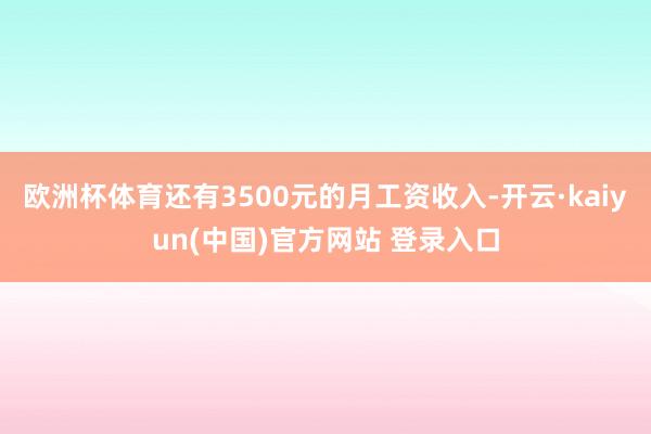 欧洲杯体育还有3500元的月工资收入-开云·kaiyun(中国)官方网站 登录入口