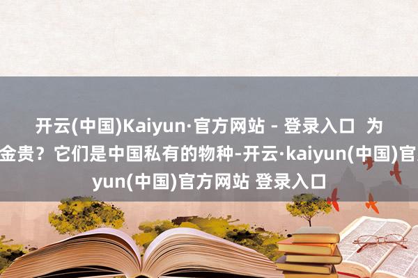 开云(中国)Kaiyun·官方网站 - 登录入口  为啥川金丝猴这样金贵？它们是中国私有的物种-开云·kaiyun(中国)官方网站 登录入口