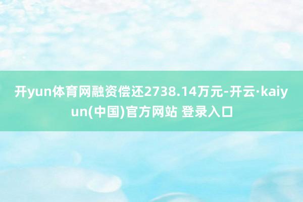 开yun体育网融资偿还2738.14万元-开云·kaiyun(中国)官方网站 登录入口