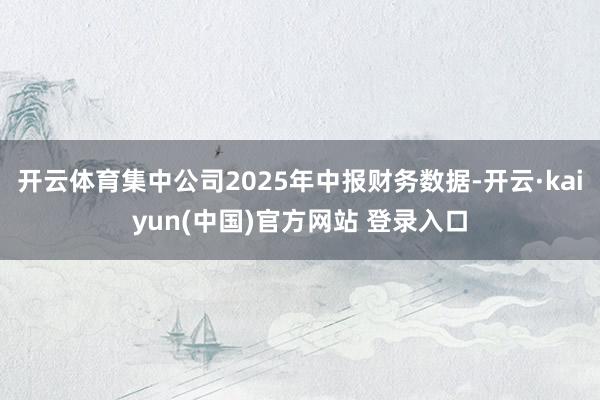 开云体育集中公司2025年中报财务数据-开云·kaiyun(中国)官方网站 登录入口